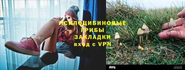а пвп мука Алексеевка