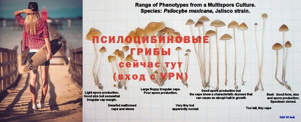 дистиллят марихуана Алзамай